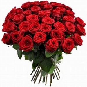Amor Extravagante 50 Rosas