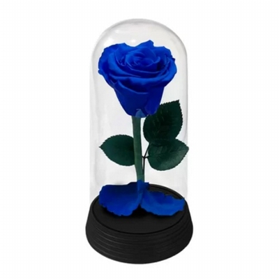 Rosa Encantada Azul