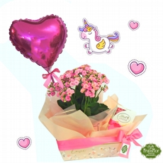 Kalandiva, Bal�o e Choco 