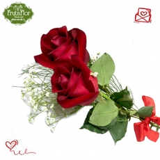 Duas Rosas Vermelhas 