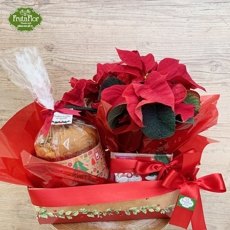 Cesta Natal com Panettone e Poinsettia 