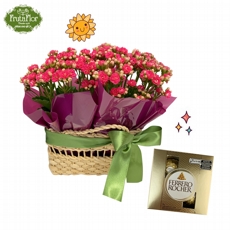Kalandivas na Bolsinha de Palha e Ferrero 4