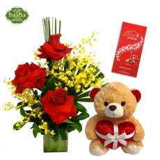 Rosas Colombianas, Ursinho e Chocolate Suo