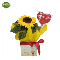 Girassol e Biscoito de Cora��o 