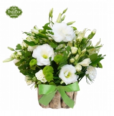 Arranjo Campestre Branco