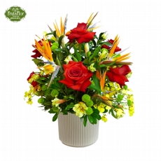 Arranjo de Rosas Colombianas e Estrelizias na Cermica 