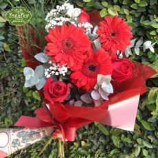 Buqu Charminho Vermelho 