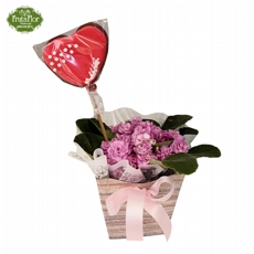 Violeta e Biscoito Cora��o 