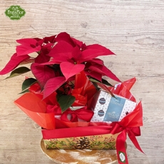 Cesta Natalina Poinsettia e Panettone Vidolce 
