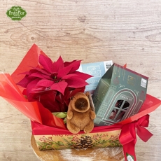 Cesta Natal Mimo Capivara 