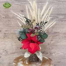 Arranjo Natal Poinsettia 