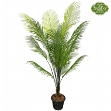 Palmeira Areca Realista 
