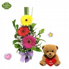 G�rberas e Ursinho 