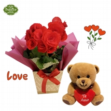 Beg�nia Pequena e Ursinho