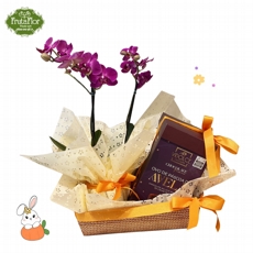 Cesta P�scoa Mini Phale e Ovo Vidolce Avel� 