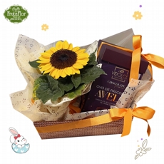 Cesta Girassol e Ovo Vidolce Avel� 