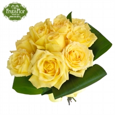 Surpresa Amarelo