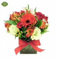 Arranjo de Flores Vermelhas e Brancas 