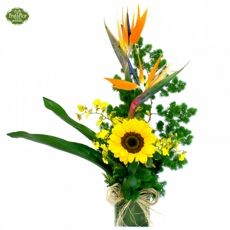 Ikenobo Estrelizia e Girass�is