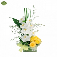 Arranjo de Orqudeas e Rosas Amarela