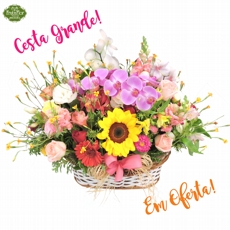 Cesta Especial Colorida com Orqudeas