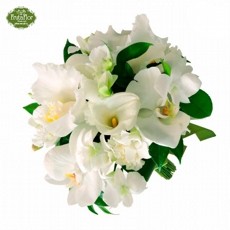 Buqu de Noiva de Orqudeas Brancas