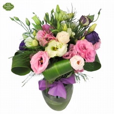 Lizianthus