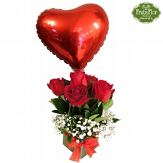 Rosas Vermelhas e Balo Corao 