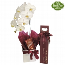 Orqudea, Vinho e Chocolate Lindt