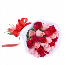 Delicado 24 Rosas Vermelhas e Rosa