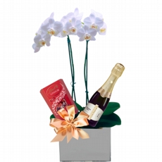 Orqudea com Chandon e Bombons Premium Lindt