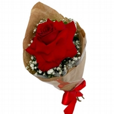 Rosa Solitra Vermelha com Gypcio