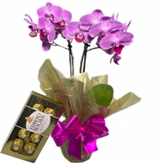 Mini Orquidea com Ferrero Rocher 