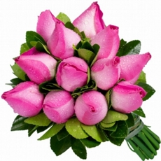 Buqu Delicado com 12 Rosas Rosa