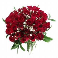 Buqu Premium com 50 rosas vermelhas 