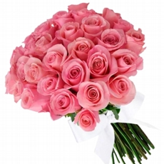 Mega Buqu de 30 Rosas rosadas
