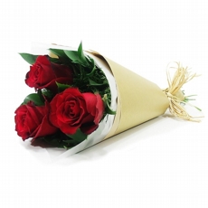 Trio de Rosas Vermelhas 