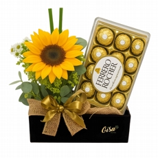 Girassol e Ferrero Luz e Carinho