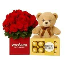 Begonia, pelucia e chocolate. 