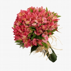 Buqu de Alstromelias Rosa