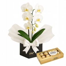Orqudea Branca com Ferrero Rocher