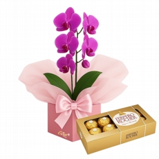 Orqudea Rosa na Box com Ferrero 