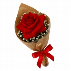 Rosa Solitra Vermelha com Gypcio