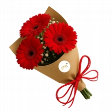TRIO DE GERBERAS 