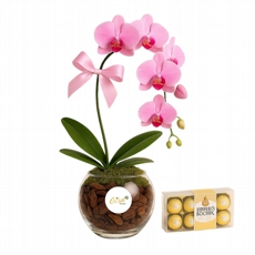 Orqudeas em Bowl de Vidro com Ferrero 