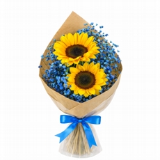 Duo de Girassol Van Gogh