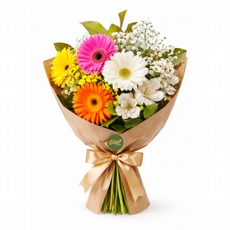 Mimo de G�rberas e Astromelias 