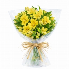 Delicado de Alstromelias Amarelas