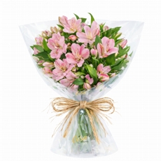 Delicado de  Alstromelias Rosa