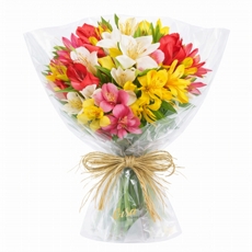 Delicado de Alstroemelias Coloridas 